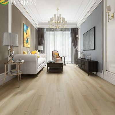 Progetto di progettazione grafica Soluzione Capacità Acquario SPC Pavimenti in legno colore pavimenti