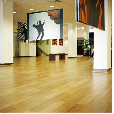 Pavimenti in bambù di 12 mm tessuti a filo naturale per case per bambini e animali domestici