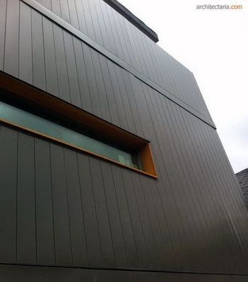 Pannello di parete esterno a strussione WPC a colori personalizzati per rivestimenti moderni