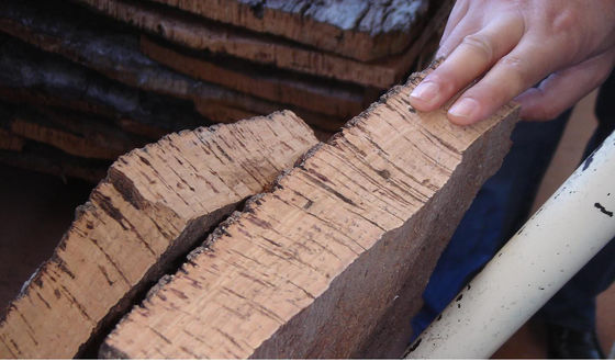 Soluzione personalizzata per pavimenti in legno 4mm 5mm Portagine Piastrelle di suolo in sughero con formazione in loco